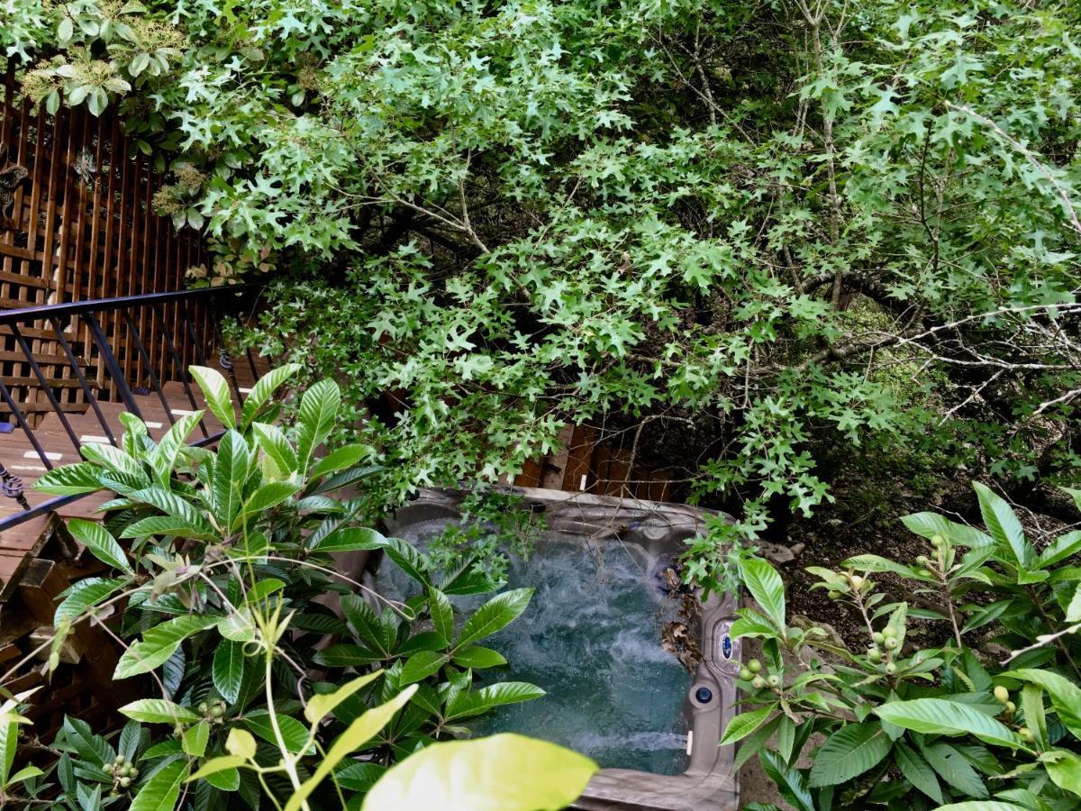 Casa Del Sol Bed And Breakfast 莱克韦 外观 照片